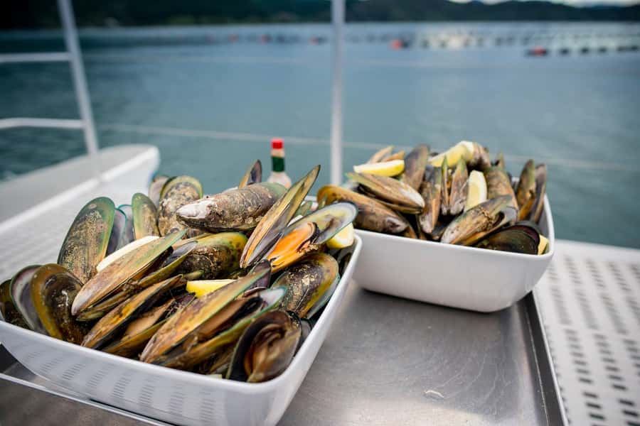 Marlborough: Full-Day Wine and Seafood Tour with Cruise - First winery: a focused 45-minute tasting
