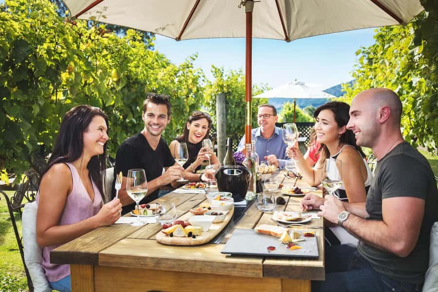 Marlborough: Full Day "Winemaker's Tour" - Why this Marlborough wine day works