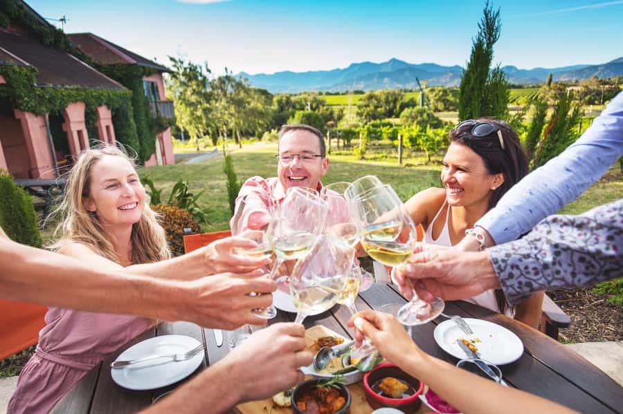 Marlborough: Full Day "Winemaker's Tour" - A vineyard talk that makes the wine easier to understand