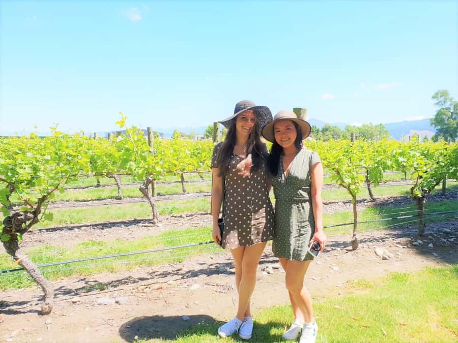 Marlborough: Full Day "Winemaker's Tour" - From Blenheim or Renwick to the first tasting