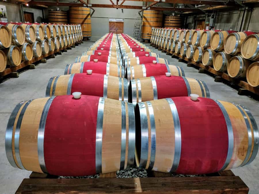 Marlborough: Half Day Blenheim Wine Tour - Eating & Sipping - Why the small group changes the day