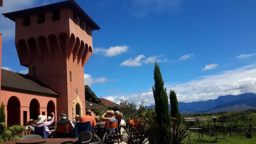 Marlborough Half-Day Wine Tour from Blenheim - From famous labels to family-run wineries