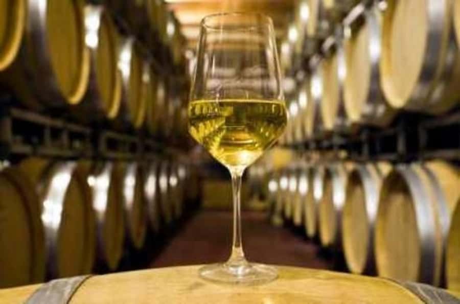 Marlborough Half-Day Wine Tour from Blenheim - The vineyard walk and the chocolate stop