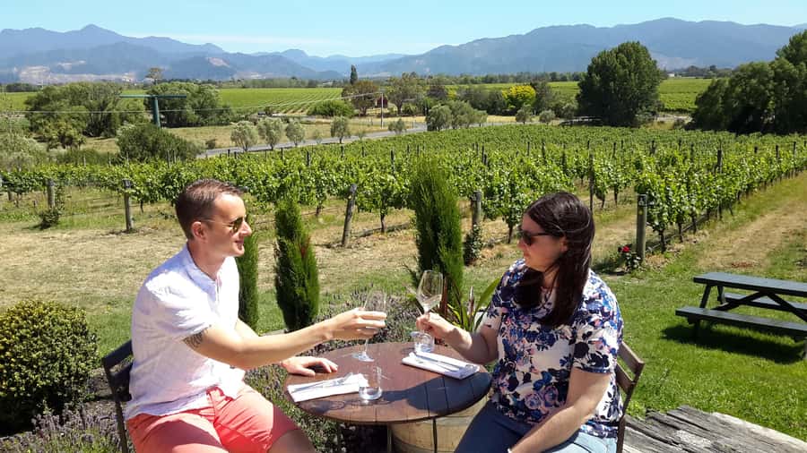 Marlborough Half-Day Wine Tour from Blenheim - Is $125 good value?
