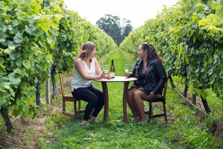 Marlborough Half Day Wine Tour From Picton 1pm - Why this four-hour wine tour works from Picton
