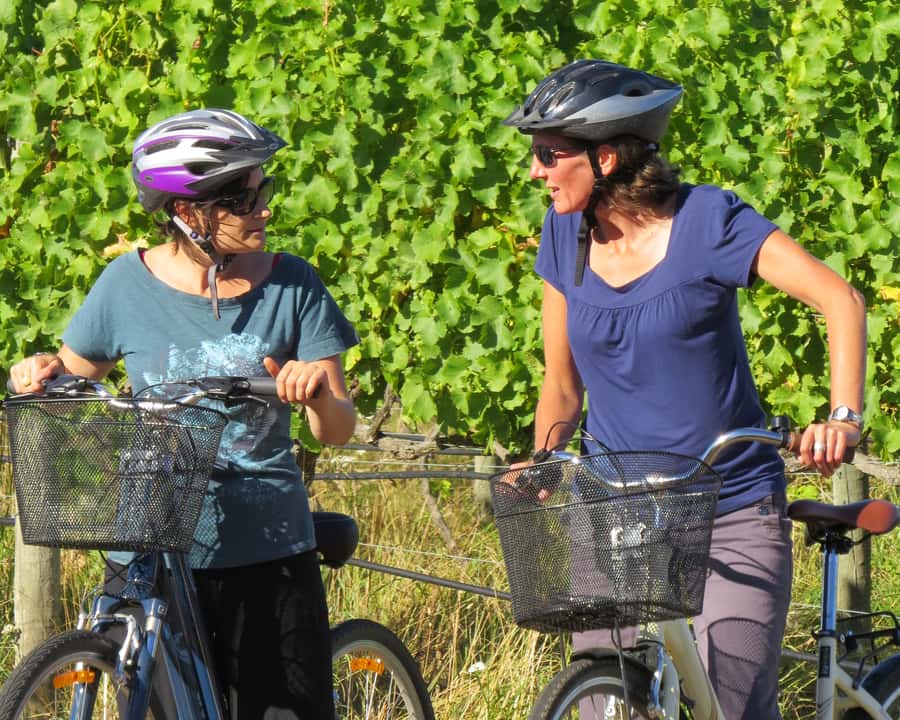 Marlborough: Half Guided and Half Self-Guided Bike Wine Tour - Key points to know before you book