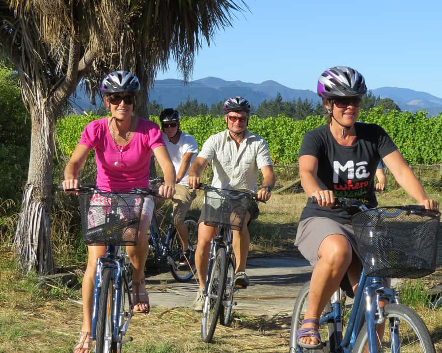 Marlborough: Half Guided and Half Self-Guided Bike Wine Tour - Why the morning guide matters in Marlborough