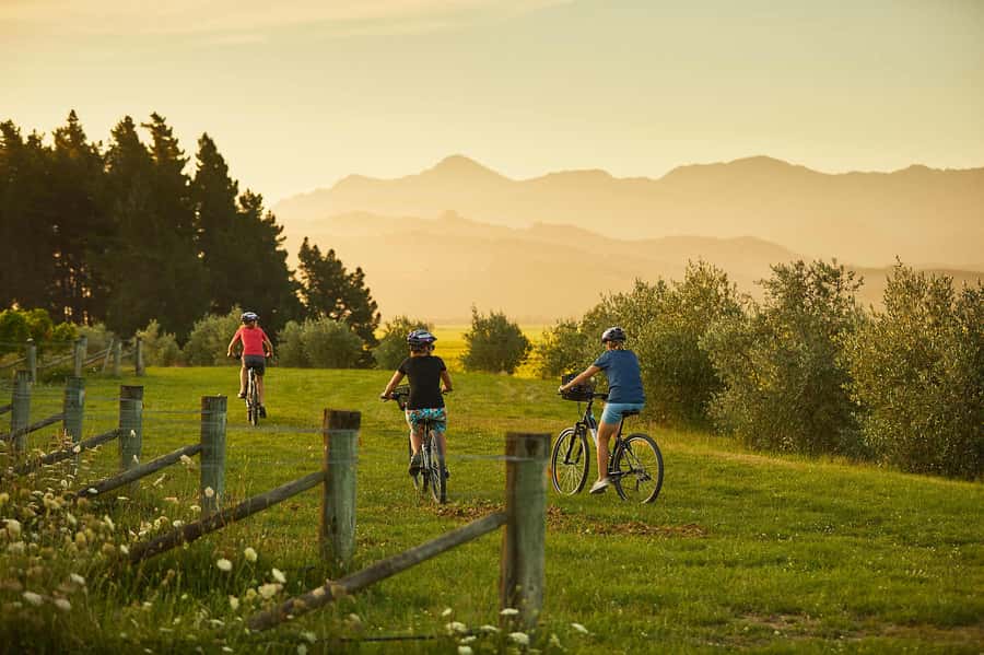 Marlborough: Half Guided and Half Self-Guided Bike Wine Tour - The 9:15am pickup and start of the ride