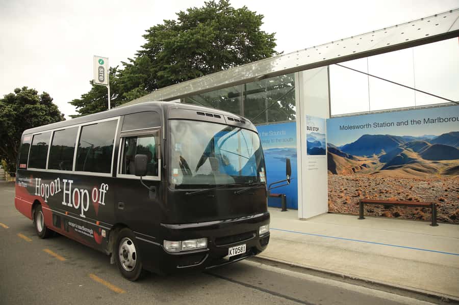 Marlborough: Hop-On Hop-Off Wine, Brewery, and Wonders Tour - Why this coach works well in Marlborough