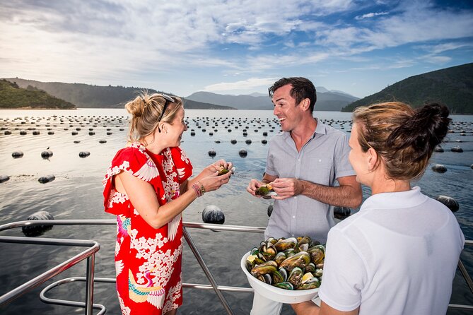 Marlborough Icons Tour - Wine tasting + Cruise - What the $198.58 price really covers