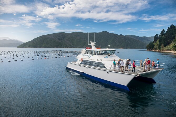 Marlborough Icons Tour - Wine tasting + Cruise - Practical tips for a smoother day