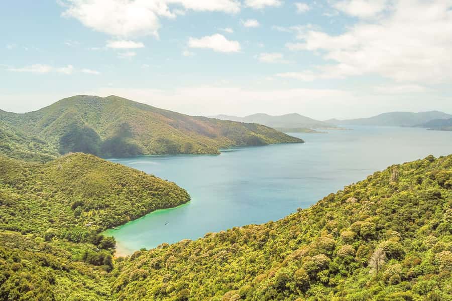 Marlborough Sounds and Ship Cove Cruise from Picton - Key points to know before booking