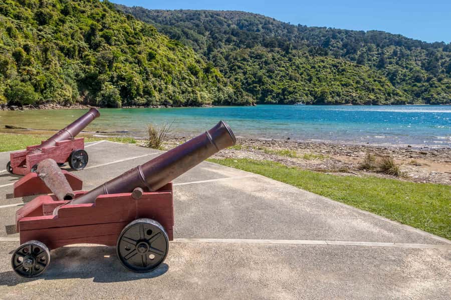 Marlborough Sounds and Ship Cove Cruise from Picton - Why this three-hour cruise works so well from Picton