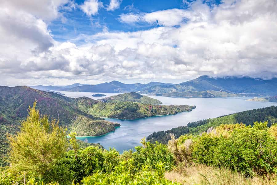 Marlborough Sounds and Ship Cove Cruise from Picton - Leaving Picton at 9:00am
