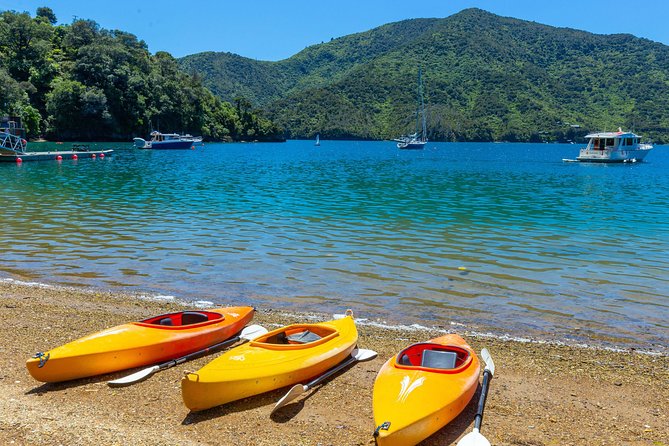 Marlborough Sounds Day Visit to Lochmara - The Underwater Observatory and waterfront cafe