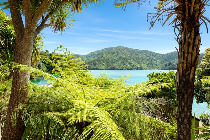 Marlborough Sounds Day Visit to Lochmara - How much time should you allow?