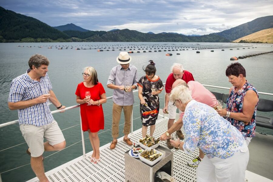 Marlborough Sounds: Greenshell Mussel Cruise - Three hours without a packed schedule