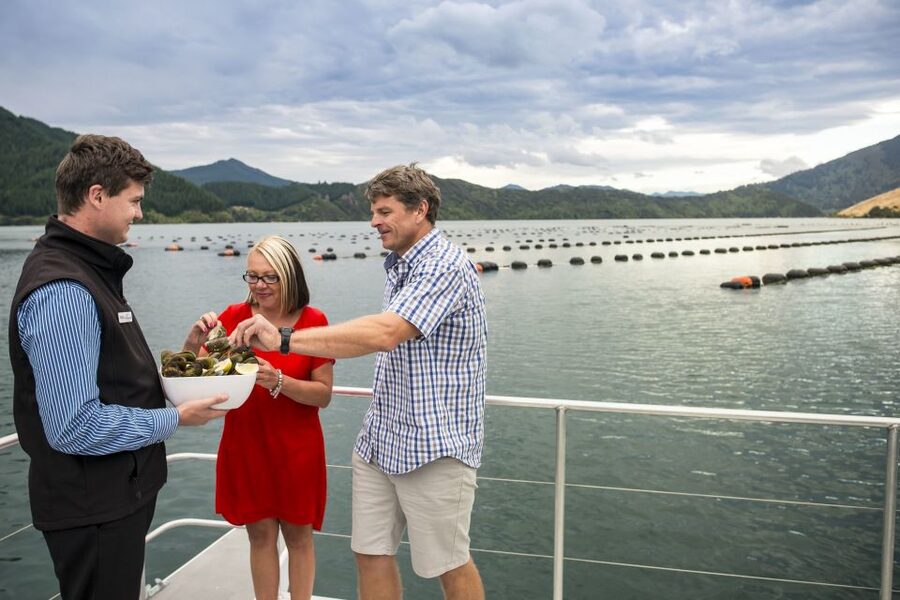 Marlborough Sounds: Greenshell Mussel Cruise - What the $107 price really covers