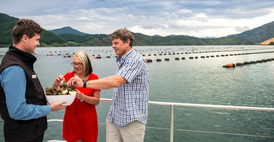 Marlborough Sounds: Greenshell Mussel Cruise - Who will enjoy this cruise most
