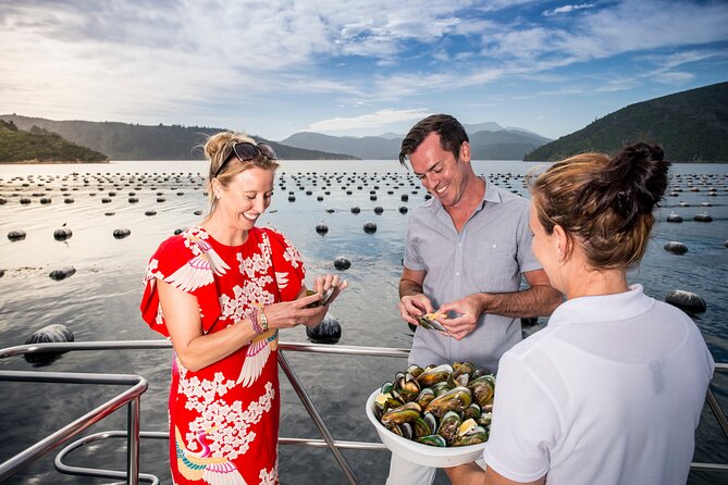 Marlborough Sounds Greenshell Mussel Tasting Cruise - The sounds are the main scenery