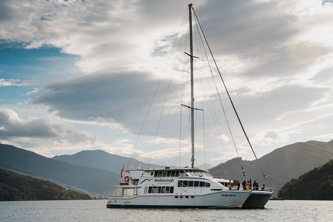 Marlborough Sounds Greenshell Mussel Tasting Cruise - Who will enjoy this cruise most?