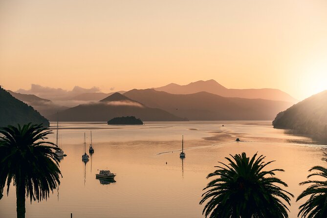 Marlborough Sounds Greenshell Mussel Tasting Cruise - A few ways to make the afternoon better