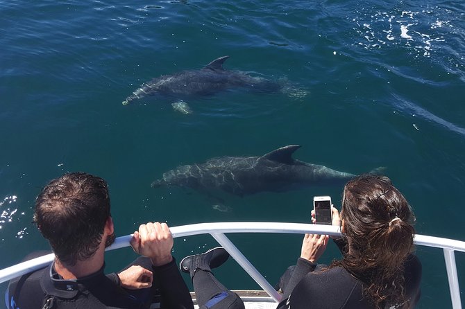 Marlborough Sounds Ultimate Cruise - Why this Picton cruise is different