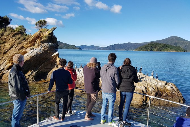 Marlborough Sounds Ultimate Cruise - What the boat feels like in practice