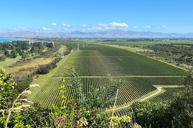 Marlborough Wine Region Tour from the Port of Picton - Forrest Wines and the family touch