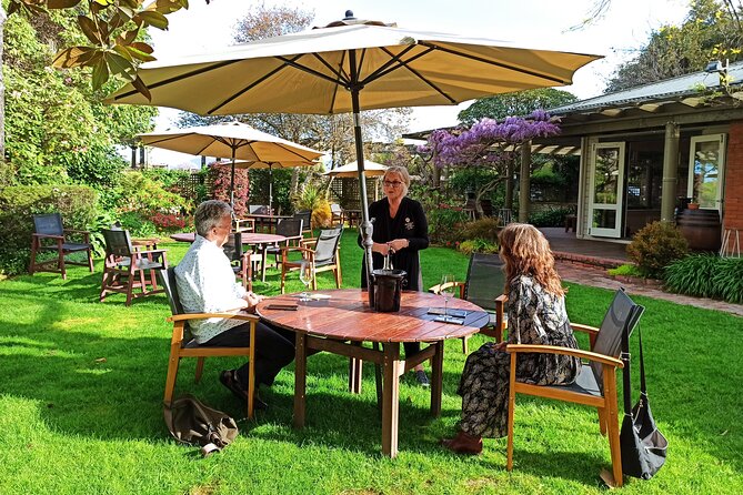 Marlborough Wine Tour - Afternoon Sippers of Wine Only 4hrs - Timing, Age Rules, and the Fine Print