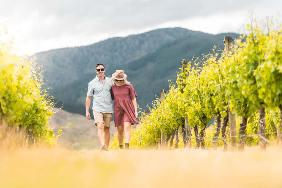 Marlborough: Wineries Visit and Tasting Session - What the tasting stops are really like