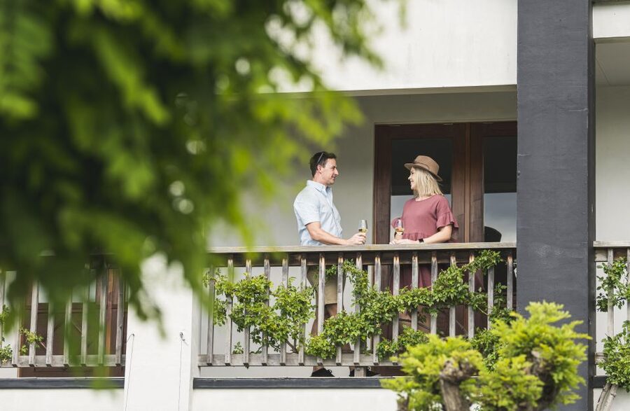 Marlborough: Wineries Visit and Tasting Session - Why the $104 price can make sense