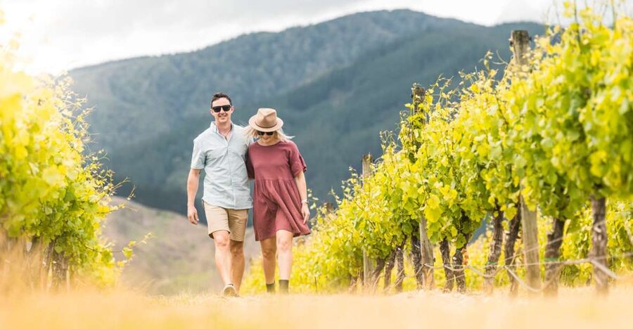 Marlborough: Wineries Visit and Tasting Session - Booking details worth knowing
