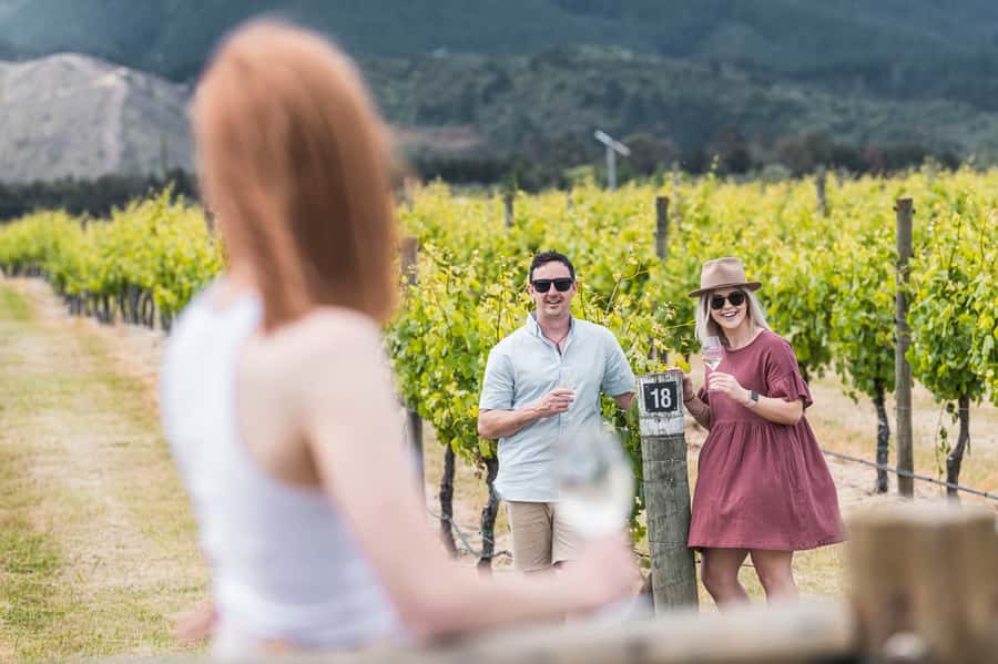 Marlborough: Wineries Visit with Tastings and 2-Course Lunch - Starting in Blenheim at 9:15 AM