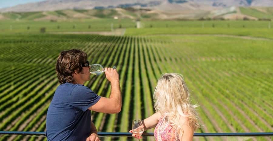 Marlborough: Wineries Visit with Tastings and 2-Course Lunch - Four wineries, with the possibility of a fifth stop