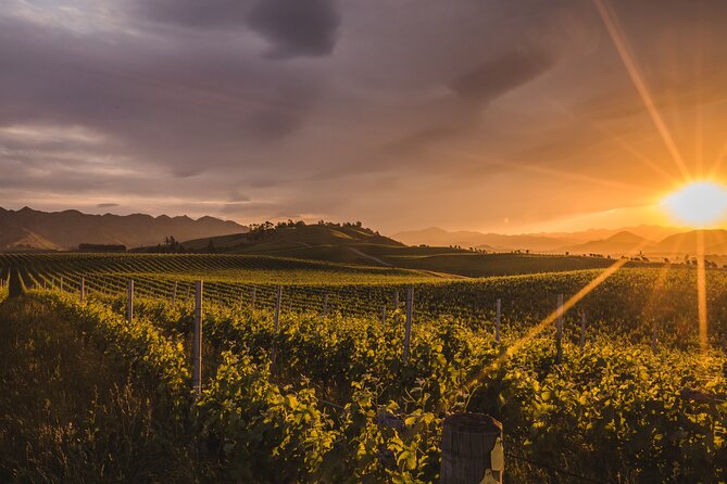 Marlborough Winery Tour - A Day of Cuisine & Wine 6hrs - A small group changes the feel of the day