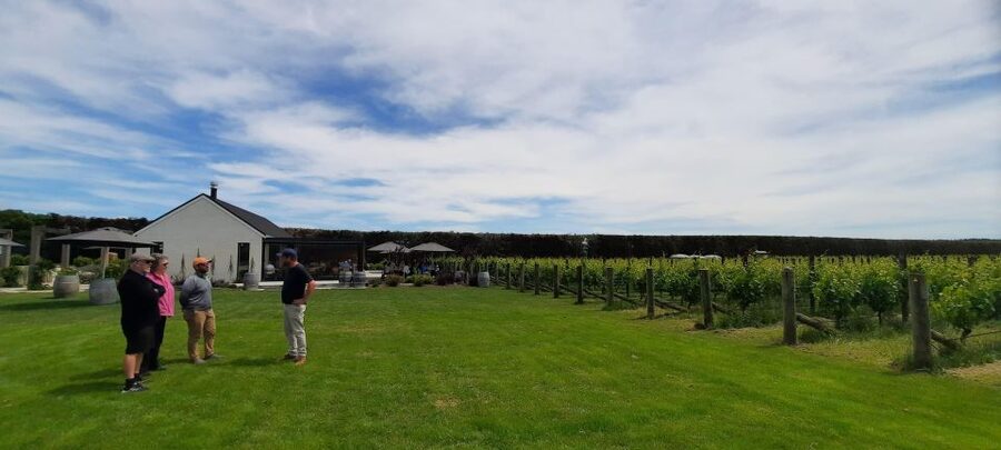 Martinborough Wine and Food Tour with Lunch from Wellington - Is $200 a fair price?