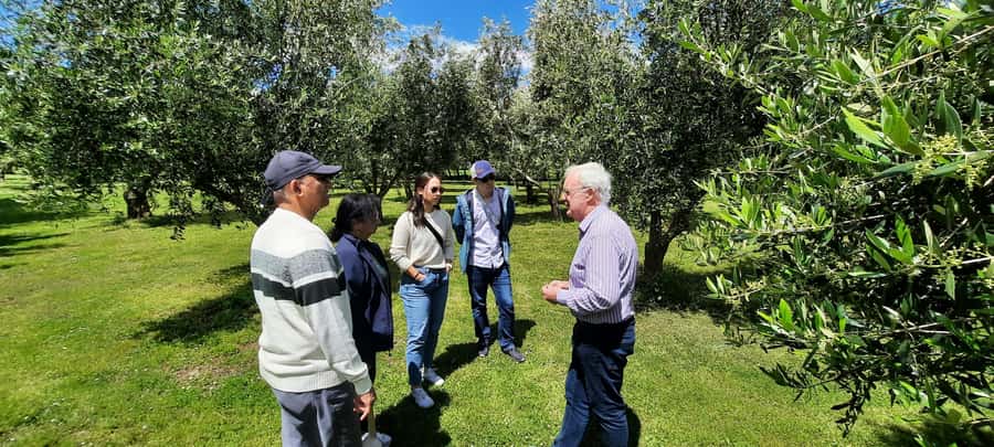 Martinborough Wine and Food Tour with Lunch from Wellington - Practical details that affect your day