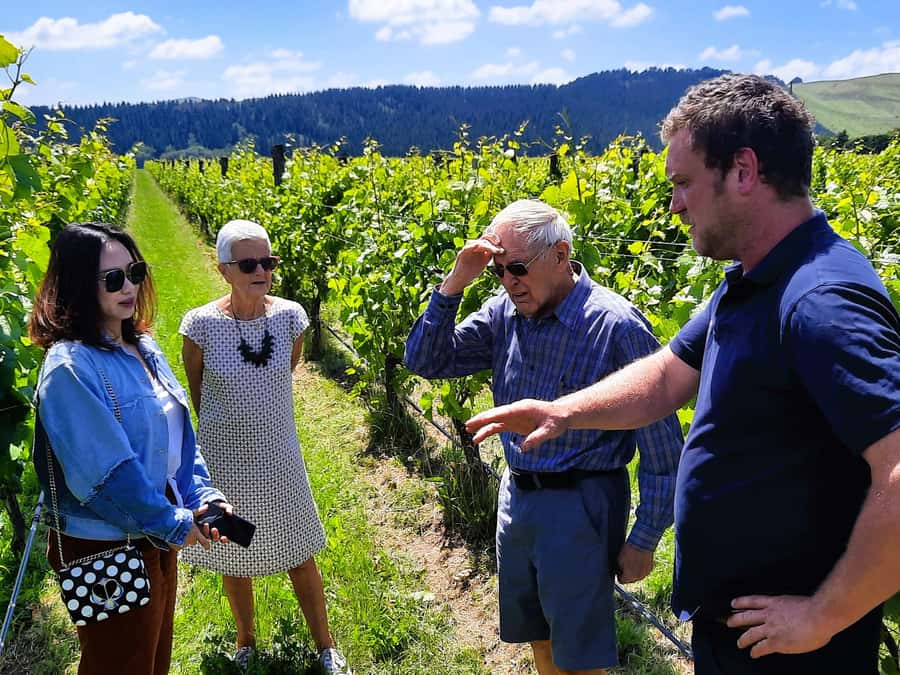Martinborough Wine and Food Tour with Lunch from Wellington - Cheese and gourmet food in Featherston