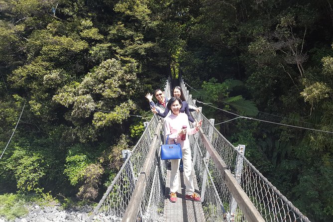 Martinborough Wine and Wild Coast Tour from Wellington - Across the Wairarapa to the wild coast