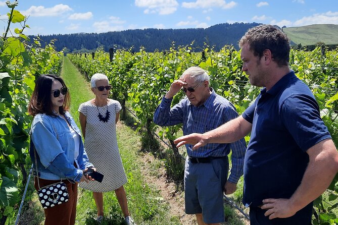 Martinborough Winery and Foodie Day Tour with vineyard lunch - Key points to know before booking