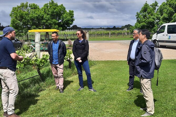 Martinborough Winery and Foodie Day Tour with vineyard lunch - Lunch in a cellar door, not a rushed café