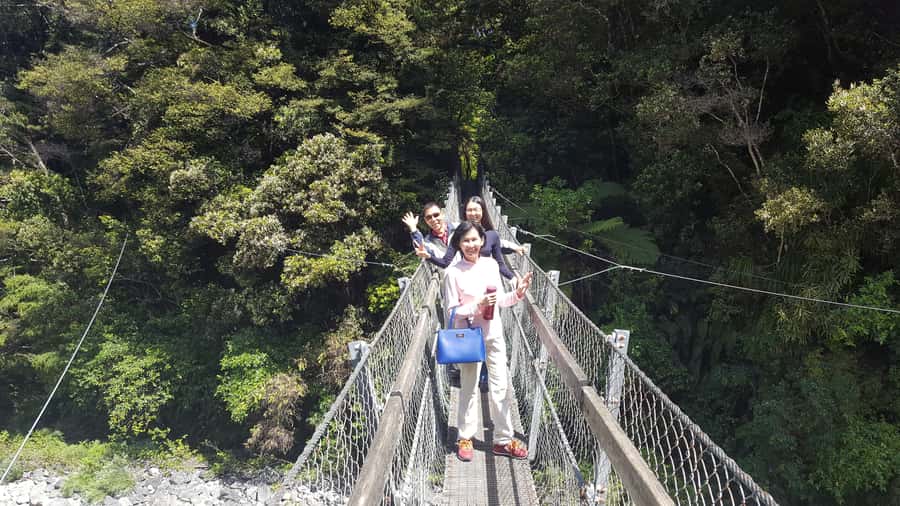 Martinborough Winery and South Wairarapa Wild Coast Tour - Key points to know