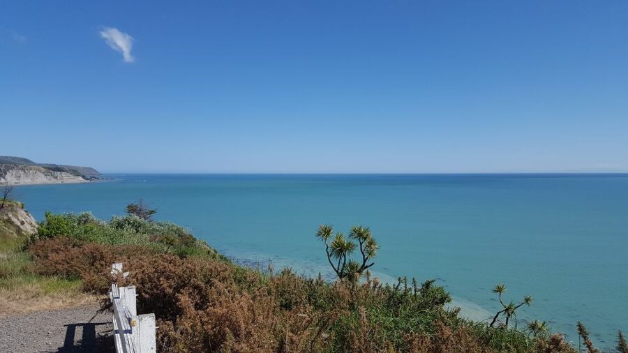 Martinborough Winery and South Wairarapa Wild Coast Tour - Seals and the Cape Palliser Lighthouse