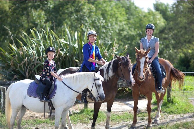 Matakana Art & Horse Riding Experience Private Tour From Auckland - Key points before you book