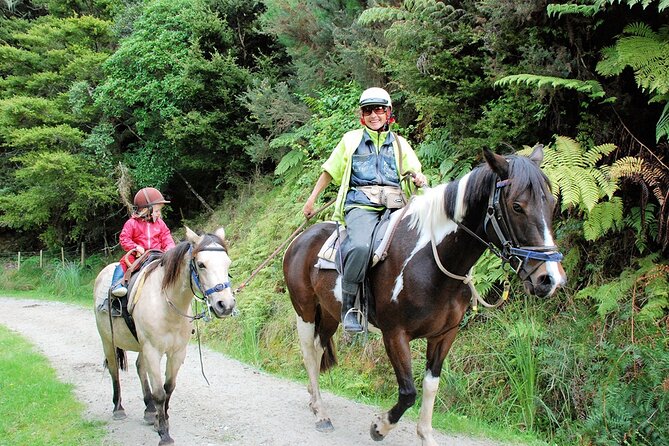 Matakana Art & Horse Riding Experience Private Tour From Auckland - Leaving Auckland for Matakana country