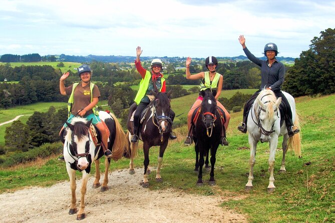 Matakana Art & Horse Riding Experience Private Tour From Auckland - Chocolate Brown adds a sweet pause