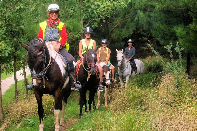 Matakana Art & Horse Riding Experience Private Tour From Auckland - Three hours at Sculptureum