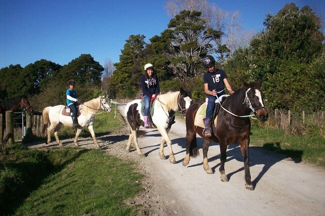 Matakana Art & Horse Riding Experience Private Tour From Auckland - Is $588.92 per person good value?