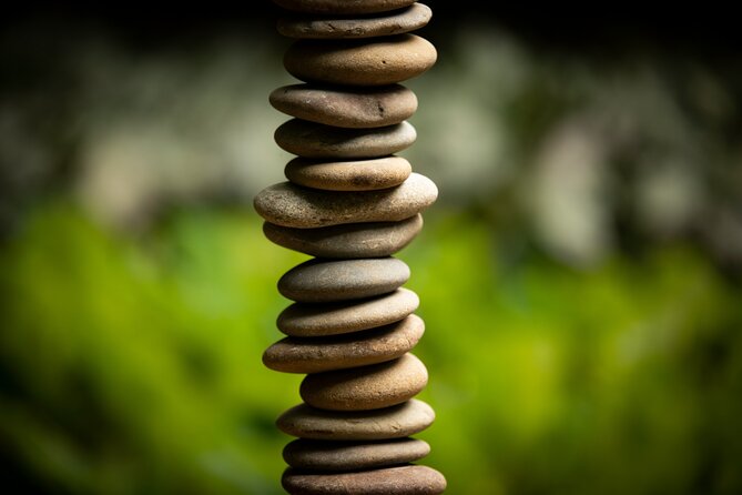 Matakana Art & Vineyard Experience incl. Lunch & Wine Tasting Tour From Auckland - Brick Bay brings sculpture, wine, and native bush together